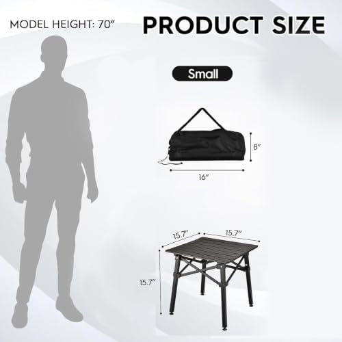 16''Small Camping Side Table with Carry Bag and Storage,Black