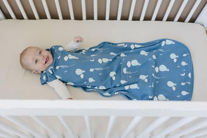 Woolino 4 Season Ultimate Baby Sleep Sack, Merino Wool Baby Sleeping Bag, Organic Cotton Outer, Adjustable 2-24 Months Size Fits Infants & Toddlers - Hot Air Balloon
