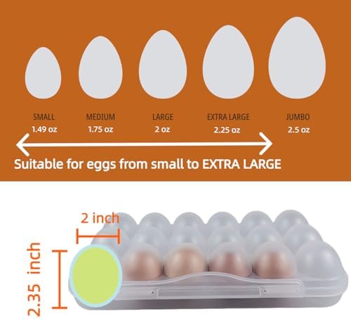 ZeQi 18Grid Clear Shatterproof Egg Plastic Storage Container– Transparent Organizer Box for Kitchen, Pantry, Fridge, Travel, Durable Reusable, Camping