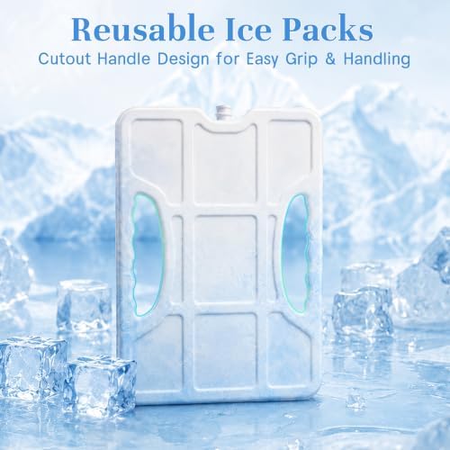 Caperci Large Chilled Snackle Box Container with Ice Pack & Leak-Proof Lid