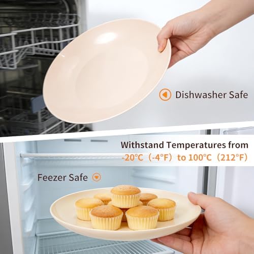 Camping Dishes Picnic Set, 31 Pcs Plastic Dinnerware Dishes Sets for 4