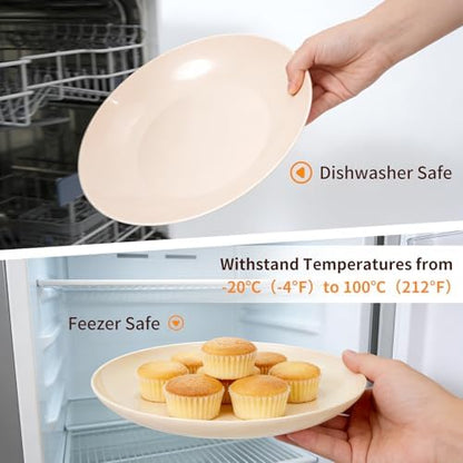 Camping Dishes Picnic Set, 31 Pcs Plastic Dinnerware Dishes Sets for 4