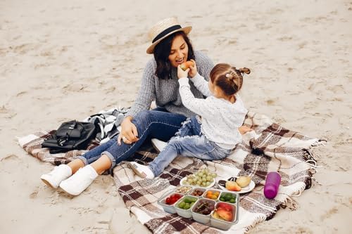 Snackle Box Container Meal Prep Divided Portion Serving Platters and Trays with Lid Handle Reusable Vacation Camping Travel Beach Essentials Food Fruit Veggie Organizers and Storage for Fridge