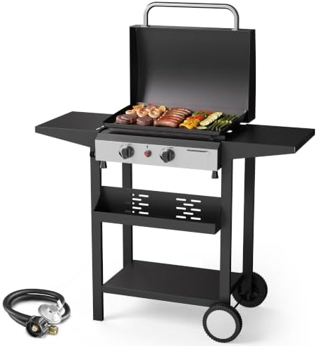 2 Burner BBQ Gas Griddle, Small Propane Grill, 17.3 Inch, Silver