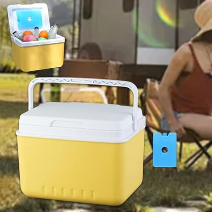 Insulated Cooler Camping Storage Case with Handle Ice Chest Box Organizer for Groceries Travel Picnic Tailgating