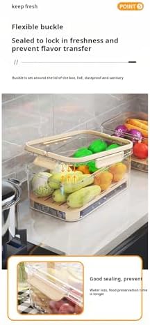 Portable Food Storage Container with Handle, Large Capacity Leakproof Lunch Box with Drain Tray, Clear Airtight Organizer for Fruits, Picnic, Camping & Refrigerator Storage
