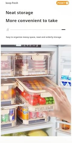 Portable Food Storage Container with Handle, Large Capacity Leakproof Lunch Box with Drain Tray, Clear Airtight Organizer for Fruits, Picnic, Camping & Refrigerator Storage