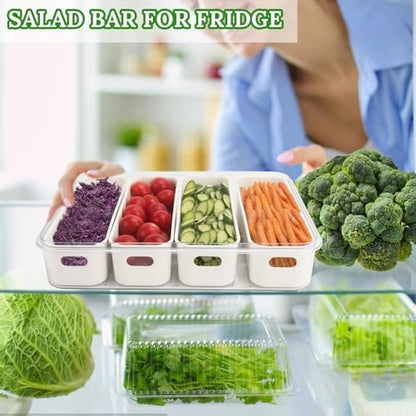 2 Pcs Salad Bar Containers for Fridge with Lid, Fruit Storage Veggie Tray