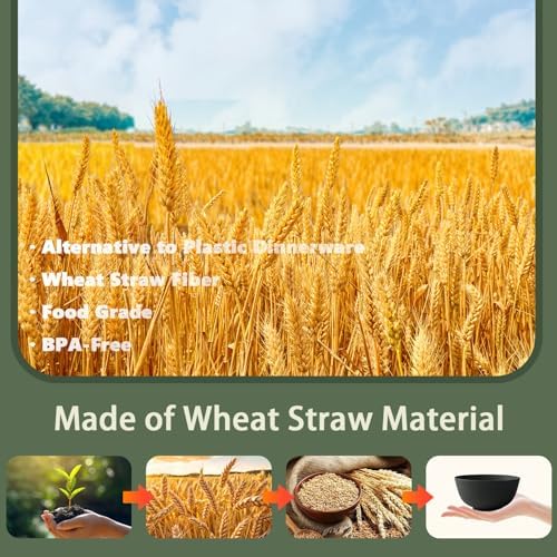 Wheat Straw Dinnerware Sets for 4, Unbreakable Plates and Bowls Sets 20 PCS, Reusable Plastic Dinnerware Set, Microwave Safe Kitchen Dish Set for Dorm, Camping (Black)