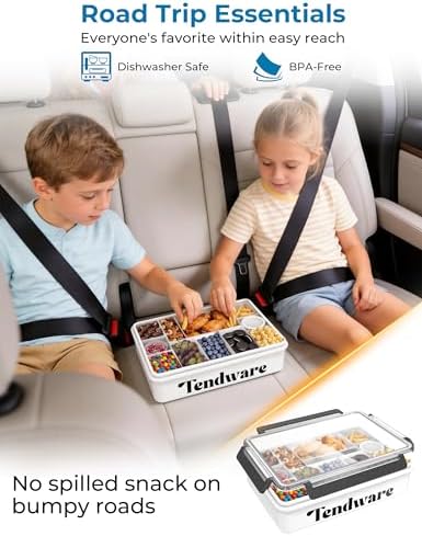 Chilled Snackle Box Container with Ice Pack, Divided Tray with Clear Lid & Bag, 8+Hrs Cooling, Beach Road Trip Essential for Family, Travel Snack Container for Picnic Camping Tailgate, Gifts for Women