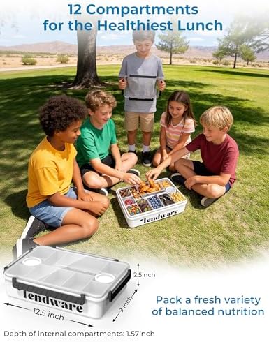 Chilled Snackle Box Container with Ice Pack, Divided Tray with Clear Lid & Bag, 8+Hrs Cooling, Beach Road Trip Essential for Family, Travel Snack Container for Picnic Camping Tailgate, Gifts for Women