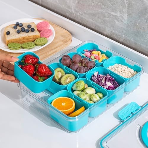 WACOI Divided Snack Serving Tray with Lid and Handle Travel Snackle Charcuterie Container Portable Storage Organizer for Candy, Fruits, Nuts, Snacks, Party, Picnic (1pack, Lake blue)