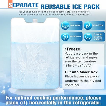 Chilled Portable Snackle Box Container with Ice Pack, Beach Essentials for Summer, Divided Serving Tray with Insulated Bag for 8+ Hrs Cooling, Snack Containers for Road Trip Charcuterie Snack Picnic