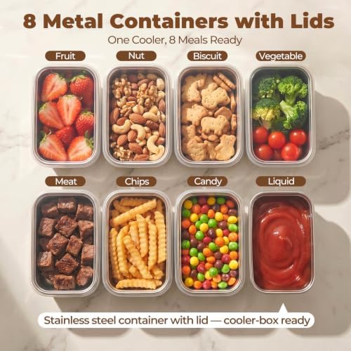 Homelove Snackle Box Container with Ice-Pack, Snack Container Divided Serving Tray with 8-Compartment Snack Platter, Lid and Handle, Food Organizer for Outdoor Travel Party Beach Picnic