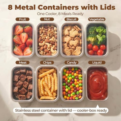 Homelove Snackle Box Container with Ice-Pack, Snack Container Divided Serving Tray with 8-Compartment Snack Platter, Lid and Handle, Food Organizer for Outdoor Travel Party Beach Picnic