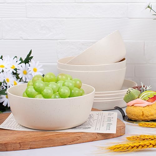 EjonirInjonir 12pcs Unbreakable Beige Wheat Straw Dinnerware Sets RV Dining