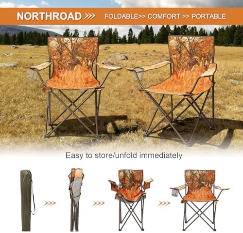Northroad 2Pack Folding Camping Chairs Portable Animal Print Collapsible Hunting Chair for Outdoor Travel, Patio, Beach, Fishing - Zebra