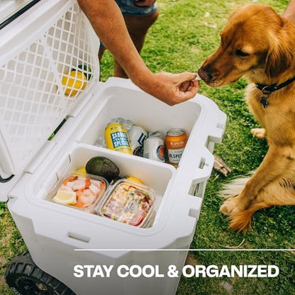 RTIC Ultra-Tough Cooler Dry Goods Basket Tray Insert Accessories Perfect for Organization