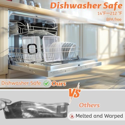 Snackle Box Container Dishwasher Safe Divided Serving Tray with Lid Handle
