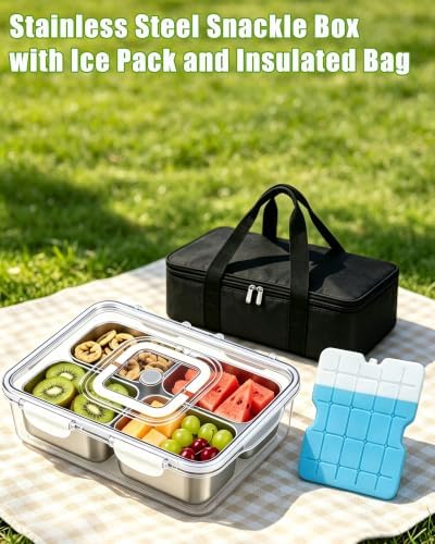 Snackle Box Container, Stainless Steel Divided Serving Tray with Lid and Handle,Large Snack Tray for Fruit Veggie, 4-Compartment Snack Platter for Travel Party Beach Picnic,with Ice Pack(Silver White)