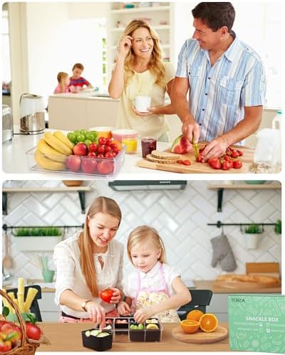 Snackle Box Container Dishwasher Safe Divided Serving Tray with Lid Handle