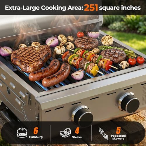Electactic 20,000 BTUs Portable Tabletop Gas Grill, 2-Burner Propane Grill with Foldable Legs, 251 Sq.in Cooking Area, Stainless Steel BBQ Grill for Easy Assemble & Clean, Ideal for Outoor/RV/Patio