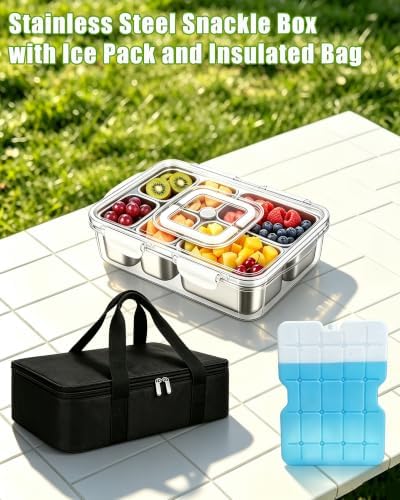 Snackle Box Container, Stainless Steel Divided Serving Tray with Lid and Handle,Large Snack Tray for Fruit Veggie, 6-Compartment Snack Platter for Travel Party Beach Picnic,with Ice Pack(Silver White)