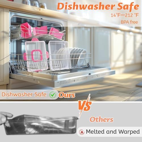 Snackle Box Container Dishwasher Safe Divided Serving Tray with Lid Handle