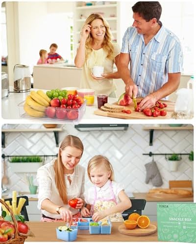 Snackle Box Container Dishwasher Safe Divided Serving Tray with Lid Handle