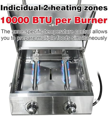 2-Burner Small Tabletop Gas Grill, 20,000 BTU Stainless Steel Grill