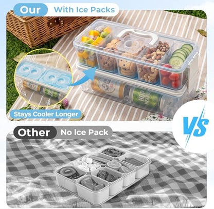 Homelove Snackle Box Container with 2 Plastic Ice Packs, Snack Organizer Divided Serving Tray with Lid and Handle, Double-layer Tray and 5-Compartment Snack Platter for Travel Party Beach Picnic
