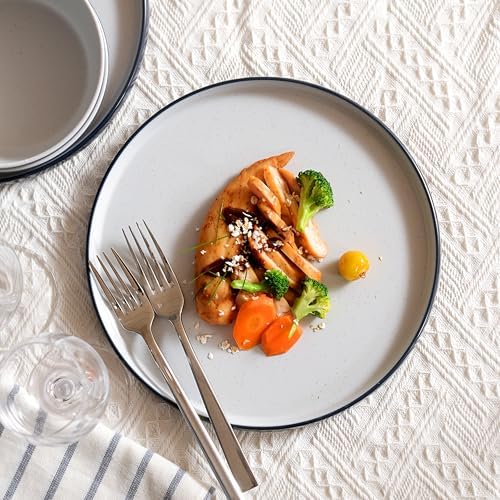 Melamine Dinnerware Sets,Plate and Bowl Set for 4,Navy Blue,Gray