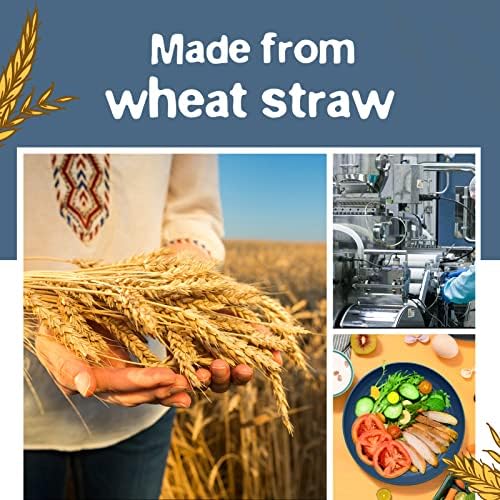 Teivio 16-Piece Kitchen Plastic Wheat Straw Dinnerware Set, Service for 4, Dinner Plates, Dessert Plate, Cereal Bowls, Cups, Unbreakable Plastic Outdoor Camping Dishes, Autumn Multicolor