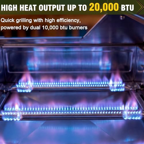 Bestfire 2-Burner Tabletop Propane Gas Grill, Dual Connections, 20,000 BTU Stainless Steel Portable Grill, Fits Large Gas Cylinders/Small Canisters, for Camping, RV, Outdoor BBQ