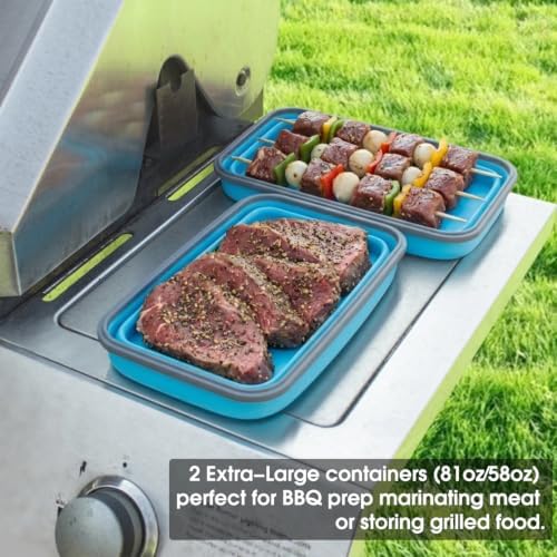 Collapsible Food Storage Containers with Lids 10 Pack(81oz/58oz Extra Large Included), 6 Rectangular+4 Round, Annaklin Silicone Collapsible Food Containers Sets Microwave Freezer Dishwasher Safe, Blue