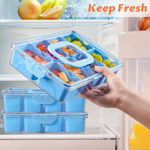 Snackle Box Container Dishwasher Safe Divided Serving Tray with Lid Handle