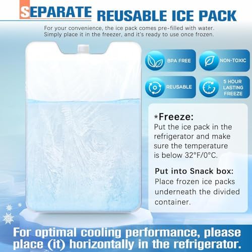 Chilled Portable Snackle Box Container, Beach Essentials for Summer, Divided Serving Tray with Reusable Ice Pack & Insulated Bag, Snack Containers for Road Trip Charcuterie Snack Picnic