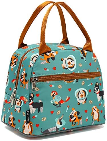 FlowFly Insulated Lunch Cooler Bag - Tote Bag Organizer for Women/Men, Dog