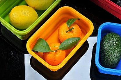 Sailing Elegant Collapsible Silicone Lunch Box/Container, Super Convenient Stackable Food Storage Containers, Material Safe (Set of 4, Multi)