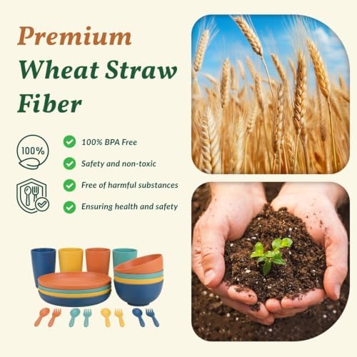 Homienly Wheat Straw Plates and Bowls Sets Unbreakable Dinnerware Set 20 PCS Dish Set for Camping, Party, Picnic Microwave and Dishwasher Safe Kitchen Dinner Set Apartment Essentials (Multicolor)