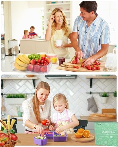 Snackle Box Container Dishwasher Safe Divided Serving Tray with Lid Handle