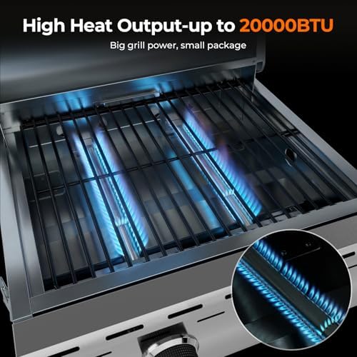 Electactic 20,000 BTUs Portable Tabletop Gas Grill, 2-Burner Propane Grill with Foldable Legs, 251 Sq.in Cooking Area, Stainless Steel BBQ Grill for Easy Assemble & Clean, Ideal for Outoor/RV/Patio