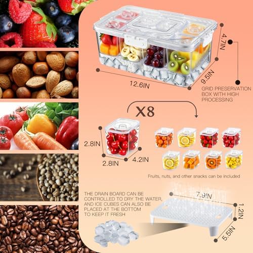 Chilled Snackle Box Container with Ice Tray - 8 Compartment Serving Tray with Lid & Handle, Leak-Proof & Odor-Free Snack Box, Portable Cold Food Platter for Picnic, Party, Travel, Road Trip