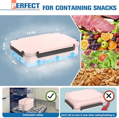 Chilled Portable Snackle Box Container with Ice Pack, Beach Essentials for Summer, Divided Serving Tray with Insulated Bag, Snack Containers for Road Trip Charcuterie Snack Picnic, Peony