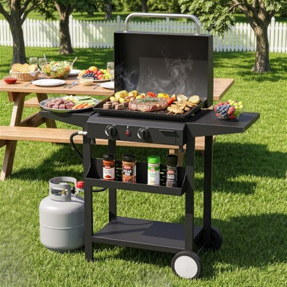 2 Burner BBQ Gas Griddle, 25.6 Inch, Black