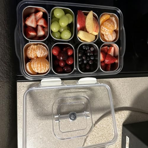 Snackle Box Container Stainless Steel - 8 Compartment Divided Serving Tray