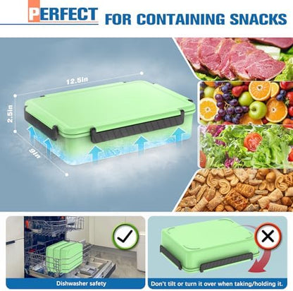Chilled Portable Snackle Box Container with Ice Pack, Beach Essentials for Summer, Divided Serving Tray with Insulated Bag for 8+ Hrs Cooling, Snack Containers for Road Trip Charcuterie Snack Picnic