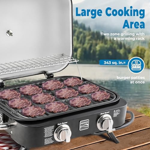 Kenmore Portable Propane Gas Grill - Tabletop BBQ Grill with Warming Rack, 2 Stainless Steel Burners with 14,000 BTUs, for Outdoor Kitchen, Camping, Black