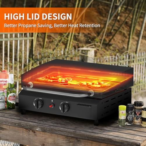2 Burner BBQ Gas Griddle, 25.6 Inch, Black
