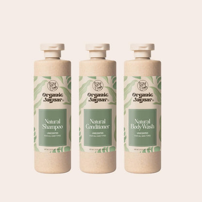 Natural Shampoo for Hair Care, Sulfate Free Shampoo with Castor Oil, Jasmine, Glycerin, Aloe Vera & Mild Thickening Agent, Dry to Color Treated to All Hair, 13.5 fl oz